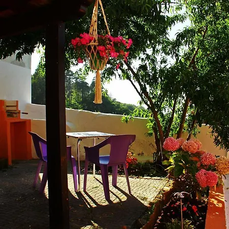 Casas Do Patio Sem Cantigas 1