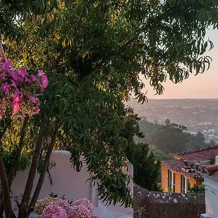 度假居 塞姆坎蒂加1号度假屋