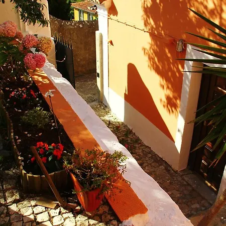 Casas Do Patio Sem Cantigas 1 *